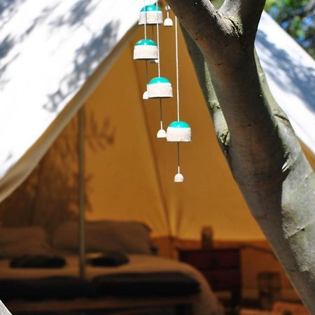 La Brujula Hostel La Paloma Eksteriør billede